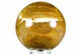 Badger Pocket Petrified Wood (Sycamore) Sphere - Washington #371211-1